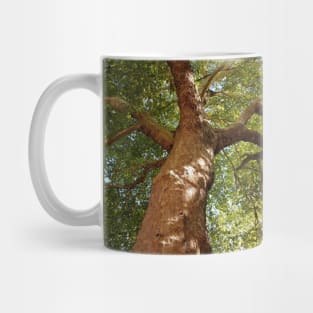 Shady Tree Mug